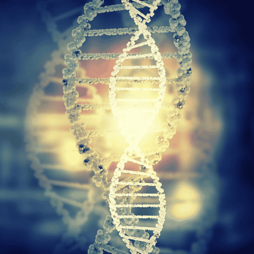 Stem Cell Therapy in Guadalajara, Mexico Cost